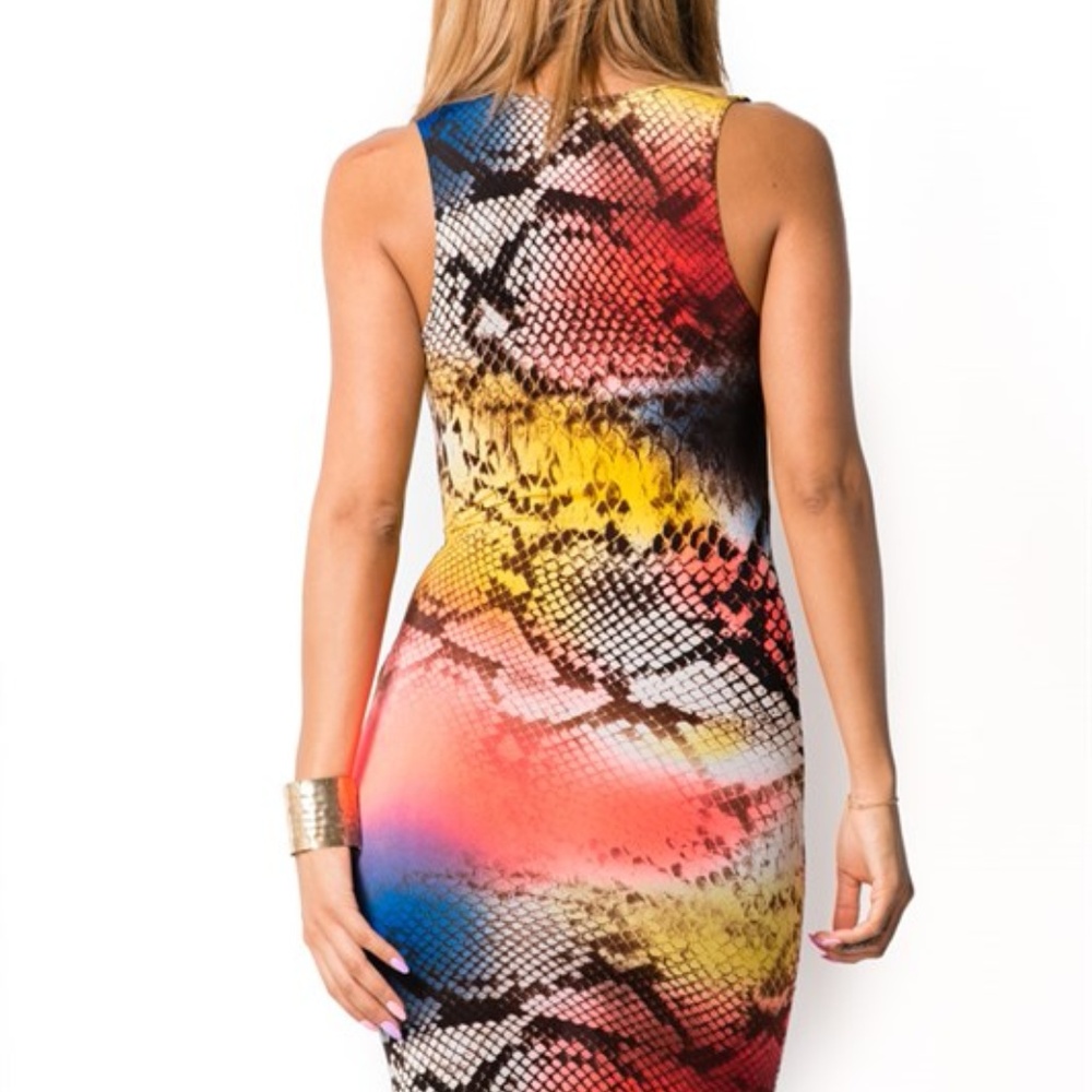 Multicolor Bodycon - Picture 3 of 3